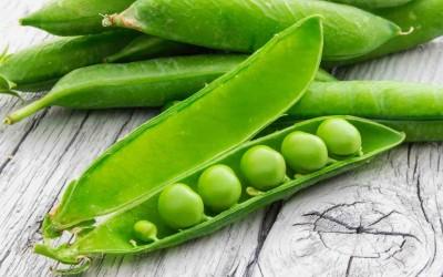 Suomalaiset superfoodit