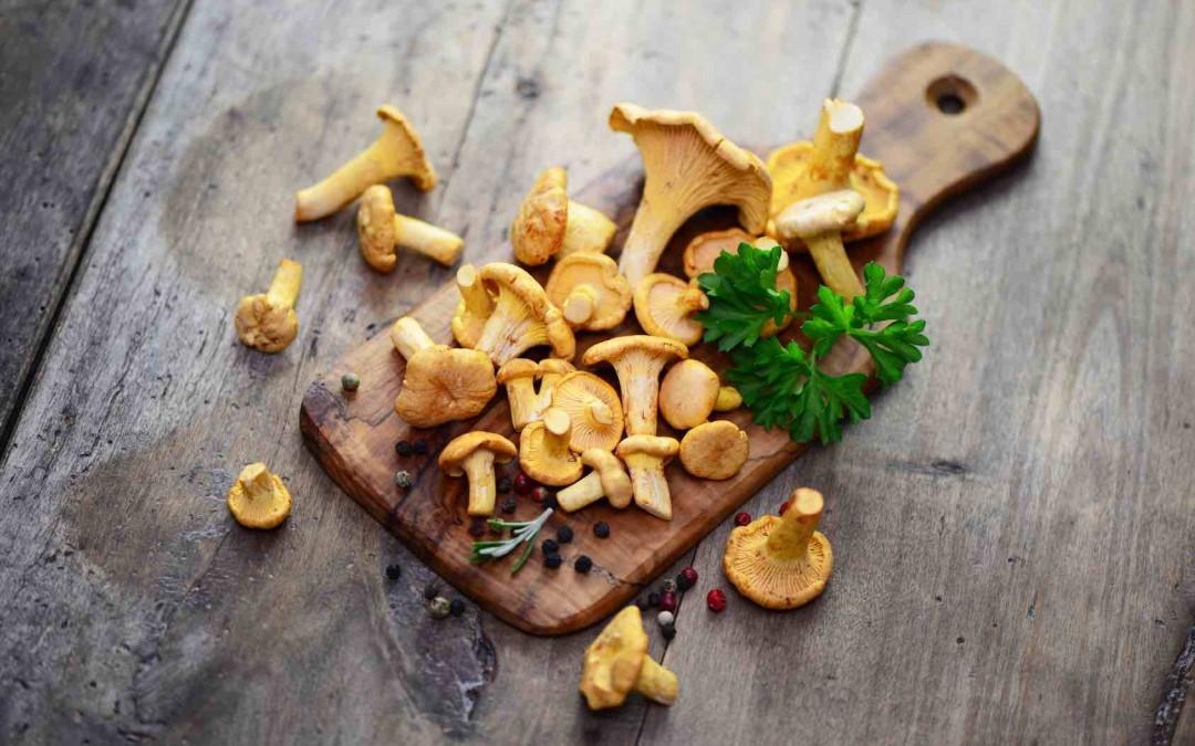 Resepti: Lämmin bulgursalaatti kantarellien ja puolukoiden kera