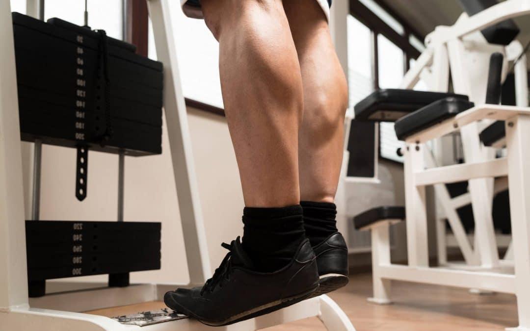 Pohje ja sen kasvatus